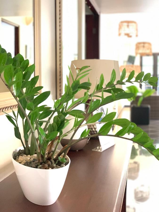 Hotel Mango Airport Río Segundo Zewnętrze zdjęcie